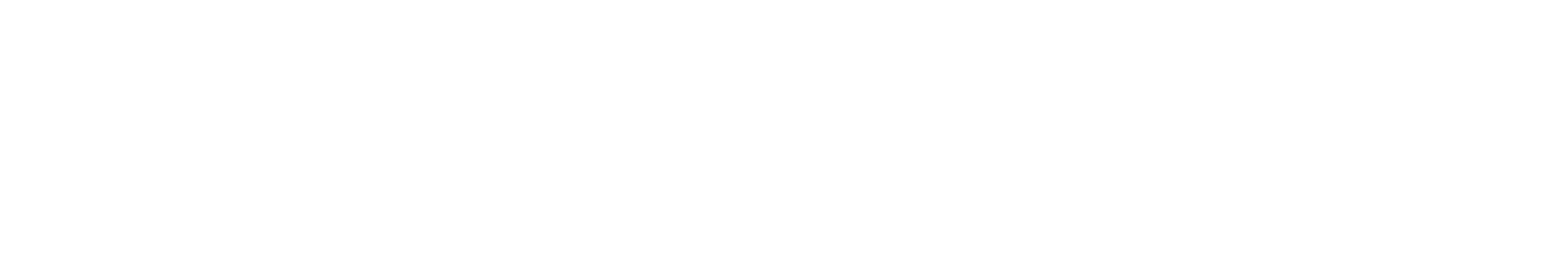 Testudo Ventures